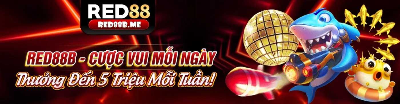 Tổng quan nền tảng Kubet79 cho người mới